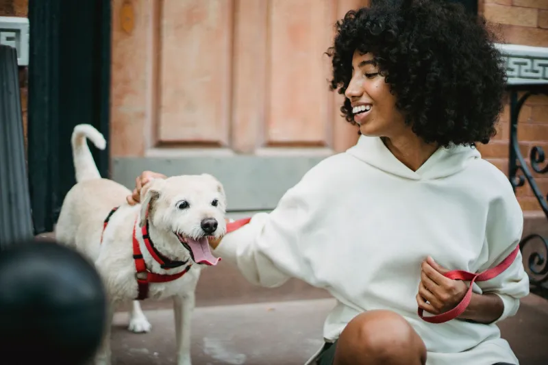 Pack the Leash: A Dog Owner's Guide to Staying in a Downtown LA Hotel